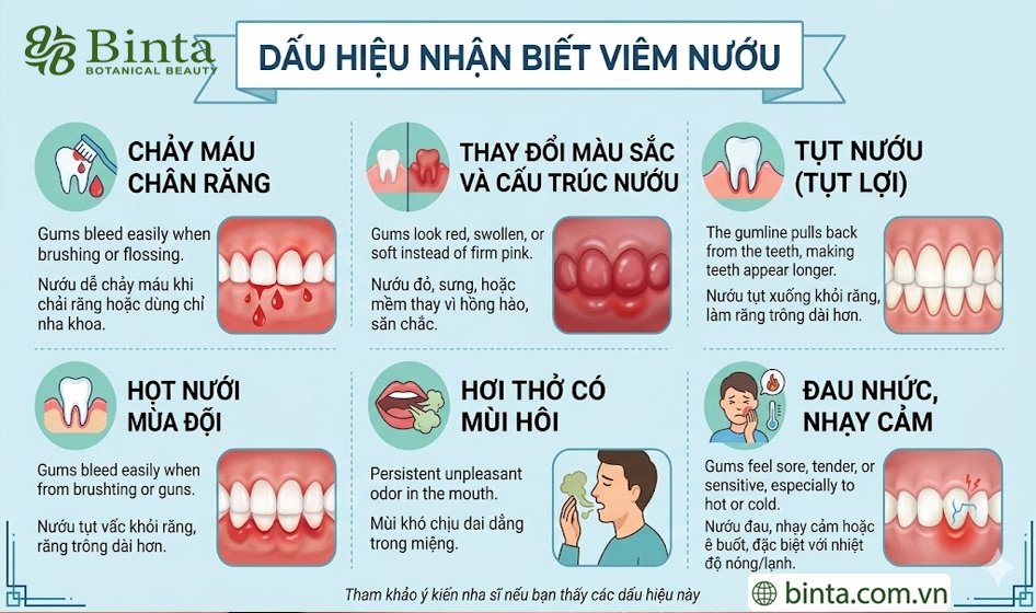 Cách trị viêm nướu