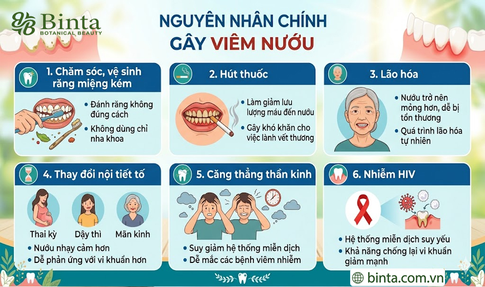 Cách trị viêm nướu